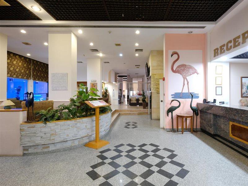 Flamingo Beach Hotel Larnaca Exterior photo